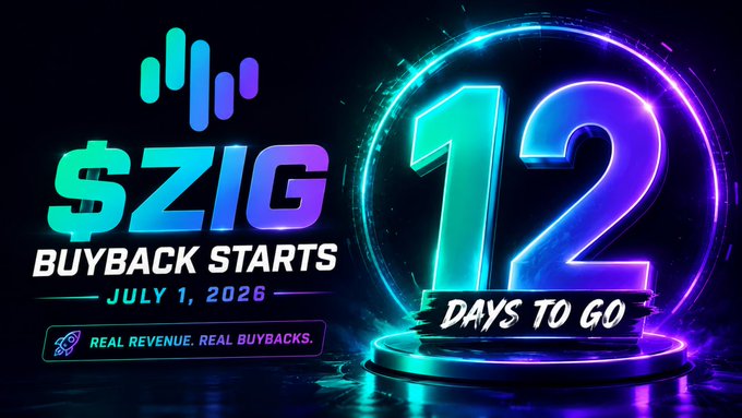 The image features a promotional poster for the cryptocurrency exchange, SIZG. The poster displays the number "12" prominently against a black background with blue and purple neon lights surrounding it. Below this, there's text that reads "SIGG Buyback Starts July 1st". This indicates that the buyback program is about to begin on July 1st, and the proceeds from the sale of SIZG will be used for buying back shares in the cryptocurrency market. The poster also mentions a real revenue of $ZIG, which further emphasizes the nature of this promotional campaign.