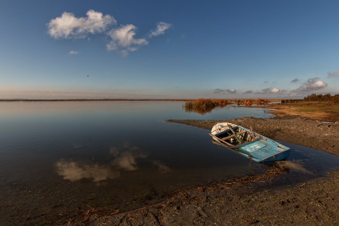 A weathered blue and white rowboat sits partially beached on the muddy shore of a calm lake under a blue sky with scattered clouds.