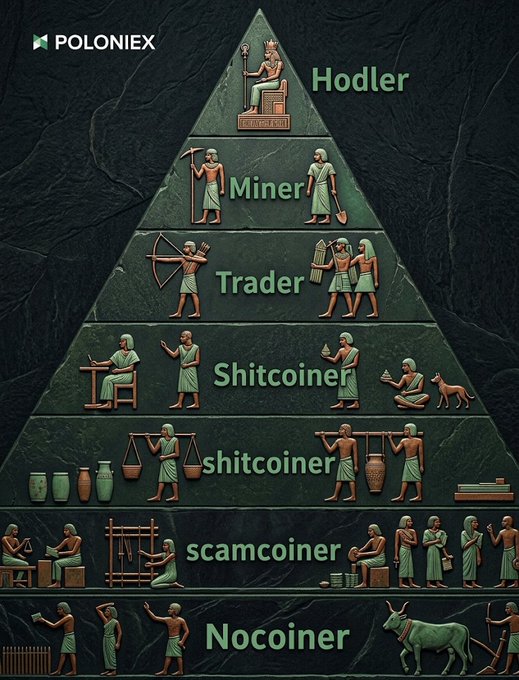 Poloniex cryptocurrency pyramid hierarchy meme classifying people into tiers: Hodler, Miner, Trader, Shitcoiner, shitcoiner, scamcoiner, and Nocoiner, with Egyptian-style illustrations.