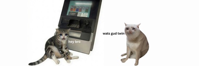 A meme featuring a kitten and a hairless cat near an ATM, with text reading 'hey bro' and 'wats gud twin'.