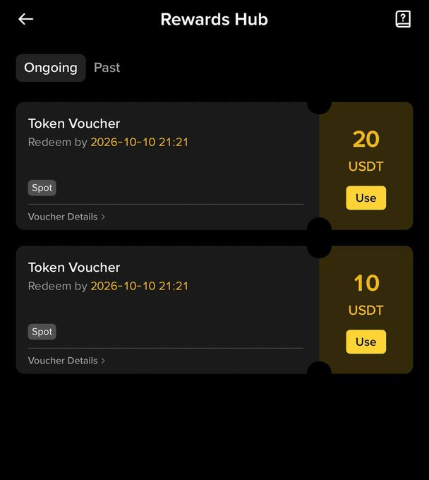 A dark-themed 'Rewards Hub' interface showing two Token Vouchers worth 20 USDT and 10 USDT, both with expiration dates of '2026-10-10 21:21' and 'Use' buttons.