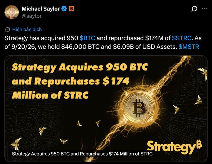A tweet from Michael Saylor (@saylor) about Strategy acquiring 950 BTC and repurchasing $174M of STRC, holding 846,000 BTC and $6.09B of USD Assets, accompanied by an image titled "Strategy Acquires 950 BTC and Repurchases $174 Million of STRC".