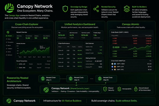 A dashboard for Canopy Network displaying Cross-Chain Explorer, Unified Analytics Dashboard, and Canopy Atomic features with green text on a dark background.