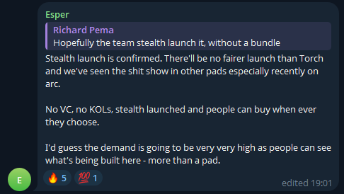 A Discord-style message from user 'Esper' (Richard Perna) discussing a confirmed stealth token launch with no venture capital or KOLs, mentioning the team will launch it without a bundle, and predicting very high demand as people see what's being built beyond just a pad.