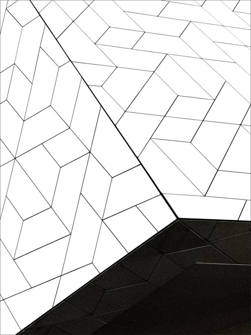 A high-contrast black and white architectural close-up showing a facade of irregular, angular panels meeting a dark lower section.
