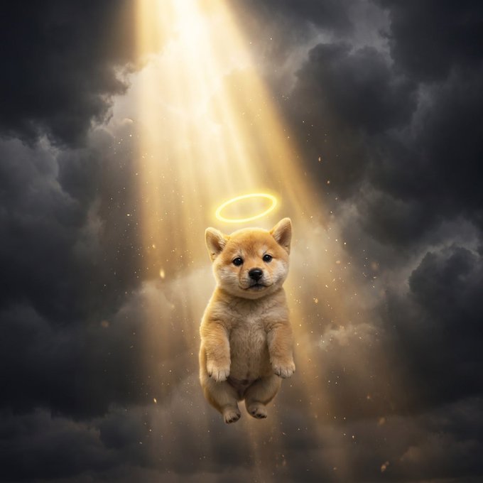 An adorable Shiba Inu puppy with a glowing golden halo floats amidst heavenly clouds bathed in divine light, symbolizing the post's promise that the "$HI" token is "just getting started" and blessed with unstoppable upward potential toward a 10 million market cap. The cherubic puppy embodies the post's desperate plea for investors to buy, hold, and not "fade" the token, with the contract address "48HimqX34gdcKQeMJdqgW4etPyDo3xCcdHNXMDnCpump" serving as the only path to salvation.