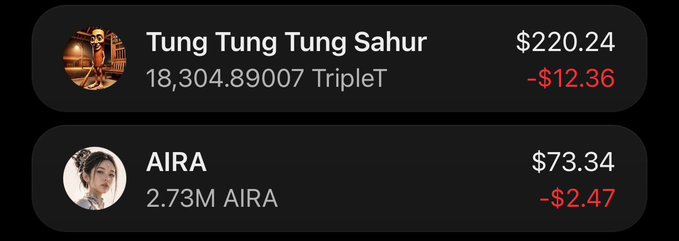 A crypto portfolio display showing 'Tung Tung Tung Sahur' at $220.24 (-$12.36) with 18,304.89007 TripleT, and 'AIRA' at $73.34 (-$2.47) with 2.73M AIRA.