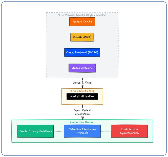 Diagram showing privacy cryptocurrency market analysis: 'The Privacy Giants (High Visibility)' box containing Monero (XMR), Zcash (ZEC), Oasis Protocol (ROSE), and Astec Network, leading down through 'Noise & Fame' to 'The Visibility Gap: Market Attention', then 'Deep Tech & Innovation' down to 'Under the Radar' section with 'Usable Privacy Solutions', 'Selective Disclosure Protocols', and 'Contribution Opportunities'.