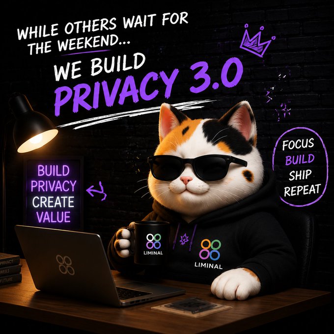 A promotional image featuring an anime-style calico cat wearing sunglasses and a black hoodie, working on a laptop with a 'LIMINAL' branded mug, set against a dark brick wall with neon text reading 'WHILE OTHERS WAIT FOR THE WEEKEND... WE BUILD PRIVACY 3.0' and 'FOCUS BUILD SHIP REPEAT'.