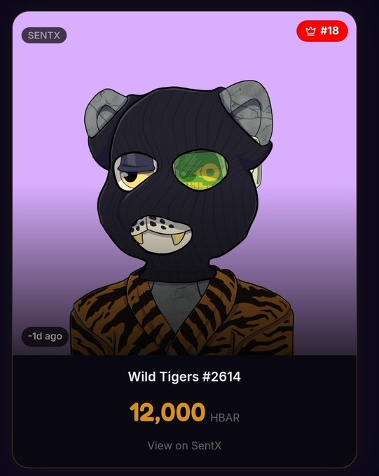 ursa-card-12,000, viewed from sentexx on the right side of a purple background.