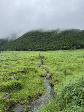 A misty mountain rises behind a lush green meadow, where a small stream winds through the grass, perfectly capturing the fairytale-like, enchanting natural scenery of Kurokawa Onsen that the post describes.