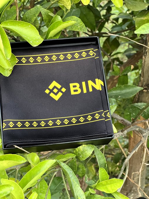 A black gift box with yellow text and the Binance 'BIM' logo sits among green foliage.