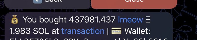 A screenshot of a crypto transaction confirmation showing 'You bought 437981.437 lmeow for 1.983 SOL at transaction [card icon] Wallet: 5LA25796L2...2BX...c...ky...c6LC6A6' with Back and Close buttons at the top.