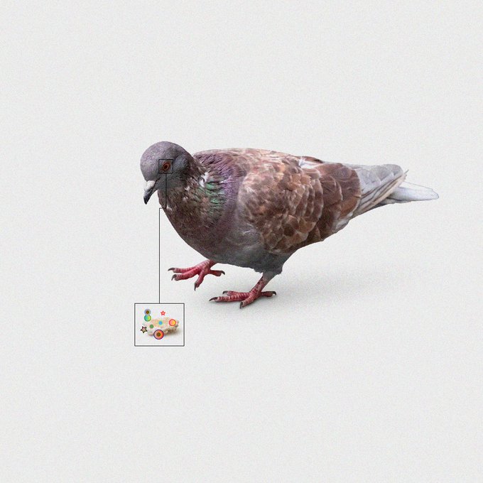 A pigeon stands on a light surface with a thin wire extending from its beak down to a small tag or label, viewed through what appears to be a node-based interface.