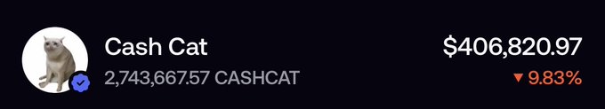 The image shows a Robinhood portfolio entry for "Cash Cat" (CASHCAT) displaying a holding of 2,743,667.57 CASHCAT tokens valued at $406,820.97, down 9.83% for the day. This aligns with the post celebrating turning $1,000 into over $400,000 on the CASHCAT memecoin via Robinhood.