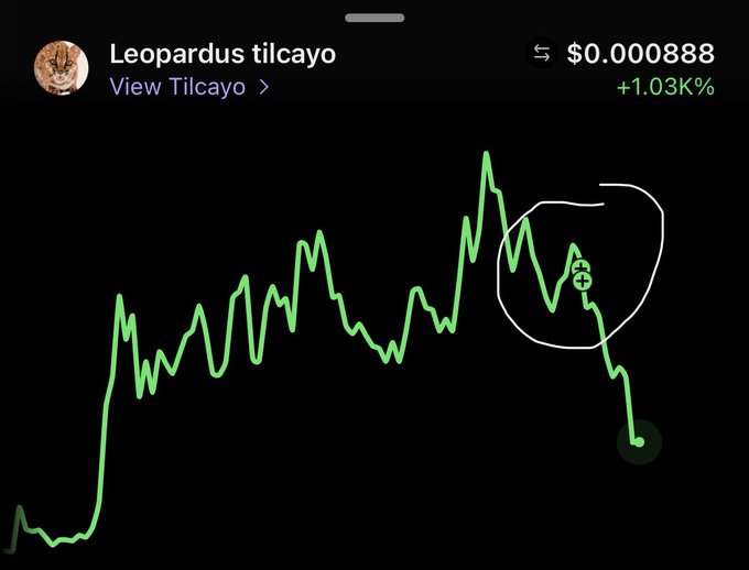 A crypto chart for 'Leopardus tilcayo' shows a current price of $0.000888 with a +1.03% gain, featuring a drawn circle highlighting a recent price drop.