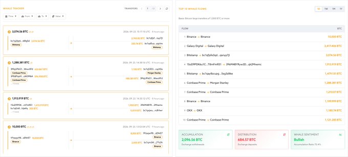 A whale tracker dashboard displaying Bitcoin transfers totaling over 10,000 BTC, with accumulation and distribution figures of 2,096.56 BTC and 684.57 BTC.