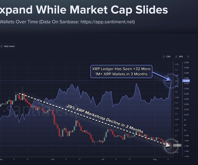 A financial chart from Santiment titled 'Expand While Market Cap Slides' showing XRP wallet data, with annotations highlighting a 29% market cap decline in 3 months and the XRP Ledger gaining +32 more 1M+ XRP wallets.