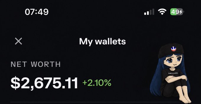 Mobile wallet screenshot titled 'My wallets' showing a net worth of $2,675.11 (+2.10%) with an anime-style character avatar wearing a beret.