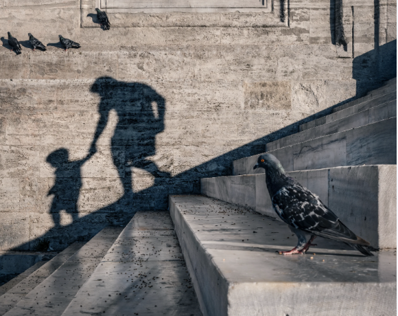 A pigeon perches on sunlit stone steps near the shadow of a parent holding a child's hand, capturing the tender theme of the newly minted NFT "Hold My Hand" by @h_biyiklioglu, now live on @TransientLabs.