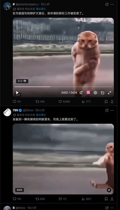 Twitter/X posts showing a viral video of a cat standing on its hind legs like a human, with Chinese text captioning the clip as 'guardian angel,' including posts from @phantoipain.v and @2ilnx showing 121 and 119 reposts respectively.