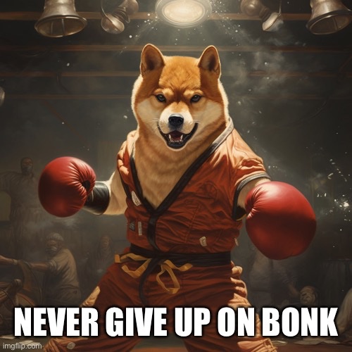 A determined Shiba Inu wearing red boxing gloves and a martial arts outfit stands ready to fight under spotlight, with the caption "NEVER GIVE UP ON BONK" — embodying the post's message of perseverance and unwavering support for the $BONK memecoin.