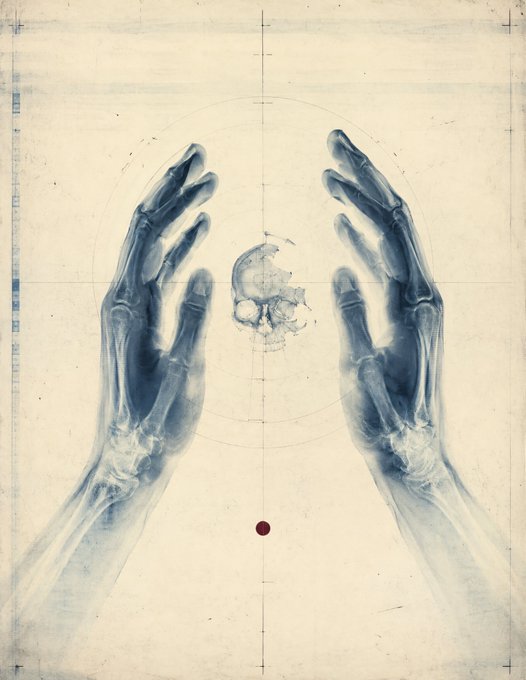 An X-ray style artistic illustration showing two skeletal hands reaching upward toward a small skull on a vintage paper background with geometric markings.