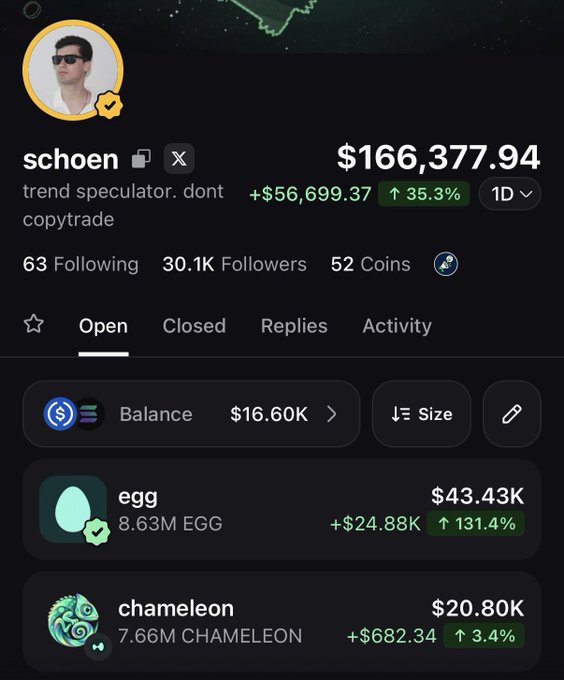 The image shows a trading portfolio titled "schoen" with a total value of $166,377.94, featuring a +$56,699.37 gain (35.3%) over 1D, displaying open positions in EGG ($43.43K, +131.4%) and CHAMELEON ($20.80K, +3.4%) with a balance of $16.60K. The post references taking a five-figure position size and discusses onchain experience and altcoin chains like BSC and Base, which aligns with the visible memecoin holdings (EGG and CHAMELEON) shown in the portfolio screenshot.