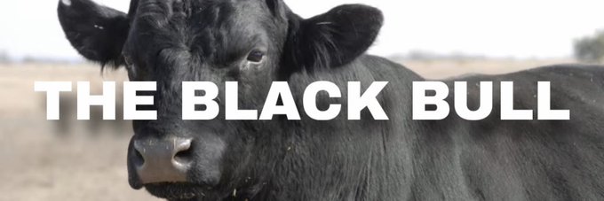 A close-up photograph of a black bull with the text 'THE BLACK BULL' overlaid across the image.