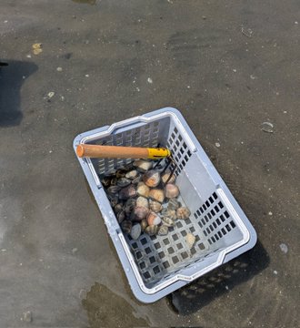 The image shows a shopping basket filled with rocks, placed on a wet surface. The basket appears to be floating or partially submerged in water, possibly due to recent rainfall or flooding. The scene suggests that someone has discarded their shopping items into the basket, which is now floating on the ground.
