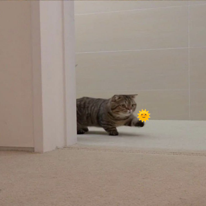 A tabby cat crouches low to the floor in a doorway, appearing to chase or look at a yellow sun emoji sticker on the carpet.