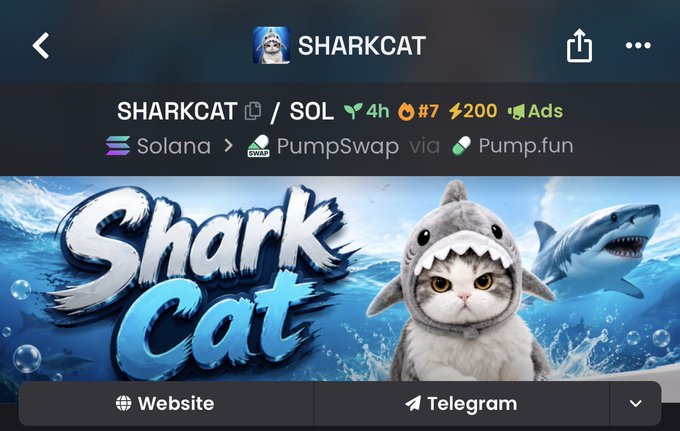 The image shows the Pump.fun token page for "SHARKCAT" ($SHARKCAT) on Solana, displaying a cute cat wearing a shark costume alongside the stylized "Shark Cat" logo, with stats indicating rank #7 and a 4-hour age. The accompanying contract address "HGBxfAM4hDrKTagryTNwKsjPHShdM8coP9Ve9jE6pump" corresponds to this SHARKCAT token, confirming the post is sharing the official contract address for verification purposes.