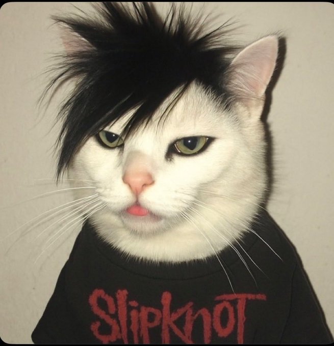 A black and white cat with a dramatic, emo-style hairdo and slightly grumpy expression wears a black Slipknot t-shirt featuring the band's iconic red logo. The image humorously embodies the "emo cat" vibe referenced in the post's tag of @emocatRH, pairing the heavy metal aesthetic with the cat's moody attitude for an entertaining share with followers.