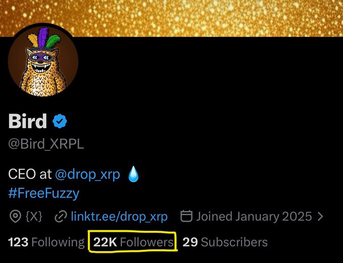 A Twitter/X profile for "Bird" (@Bird_XRPL), CEO at @drop_xrp, celebrates reaching 22K followers, a milestone the post highlights as symbolically meaningful to the XRP community (5+8+9=22).