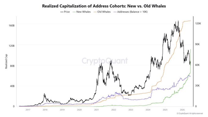 The chart, titled "Realized Capitalization of Address Cohorts: New vs. Old Whales," shows BTC price alongside the realized cap of new whales (purple), old whales (orange), and addresses holding more than 10K BTC (green) from 2017 to 2026, with new whales spiking sharply to roughly 60B in 2026—visually backing the post's claim of parabolic new whale accumulation that could spill over into altcoins like XRP.