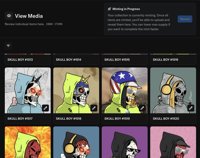 A dark-themed NFT minting interface showing a 'Minting in Progress' notification and a 'View Media' gallery of 'SKULL BOY' collectibles numbered from #1513 to #1520, featuring various skull character designs with different hats and accessories.