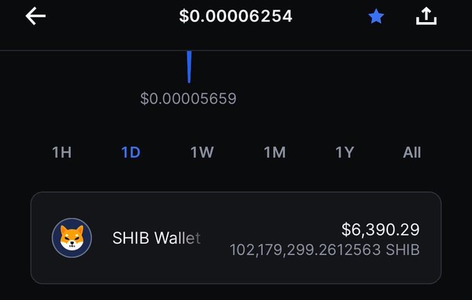 A Coinbase app screenshot showing a SHIB (Shiba Inu) wallet balance of 102,179,299.26 SHIB tokens valued at $6,390.29, with the current SHIB price at $0.00006254. The image illustrates the user's frustration with Coinbase's notoriously small decimal display, where vast quantities of tokens appear as modest dollar amounts.