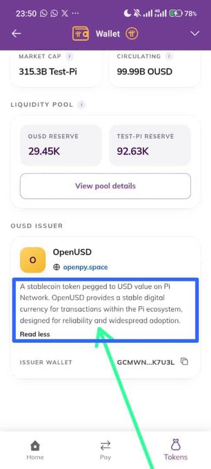 A mobile screenshot of a crypto wallet app displays a market cap of 315.3B Test-Pi and highlights information about OpenUSD with the text 'A stablecoin token pegged to USD value on Pi Network.'