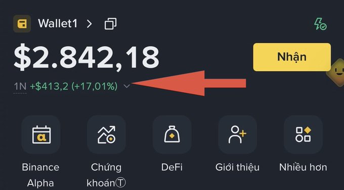 Binance wallet screenshot labeled 'Wallet1' showing a balance of $2,842.18 (1N +$413.2, +17.01%) with a red arrow pointing to the percentage change.