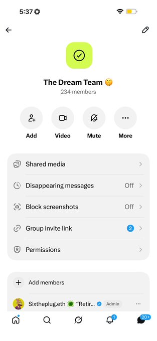 A mobile app screenshot of a group chat called 'The Dream Team' with 234 members, showing options for shared media, disappearing messages, and blocking screenshots.