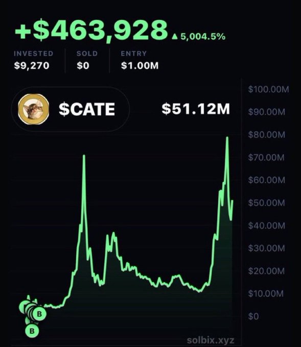 Screenshot of a crypto tracker showing a 5,004.5% gain on $CATE, with $463,928 profit on a $9,270 investment from a $1.00M entry.