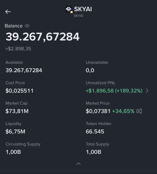 A screenshot of a SKYAI token portfolio showing a balance of 39,267,67284 tokens (~$2,898.35) with an unrealized profit of +$1,896.58 (+189.32%) at a market price of $0.07381, reflecting the post's excitement about an unexpected pump and the holder's plan to hold for a 10x gain.