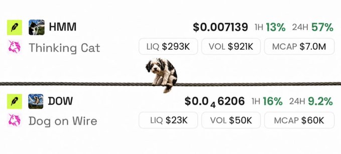 The image displays two Robinhood-listed meme tokens, "HMM" (Thinking Cat) priced at $0.007139 with a $7.0M market cap and "DOW" (Dog on Wire) priced at $0.046206 with a $60K market cap, separated by a wire with a dog balancing on it—visually reinforcing the post's "Dog on Wire" ($DOW) ticker pun while highlighting the dramatic market cap disparity between the two wire-themed ecosystem tokens.