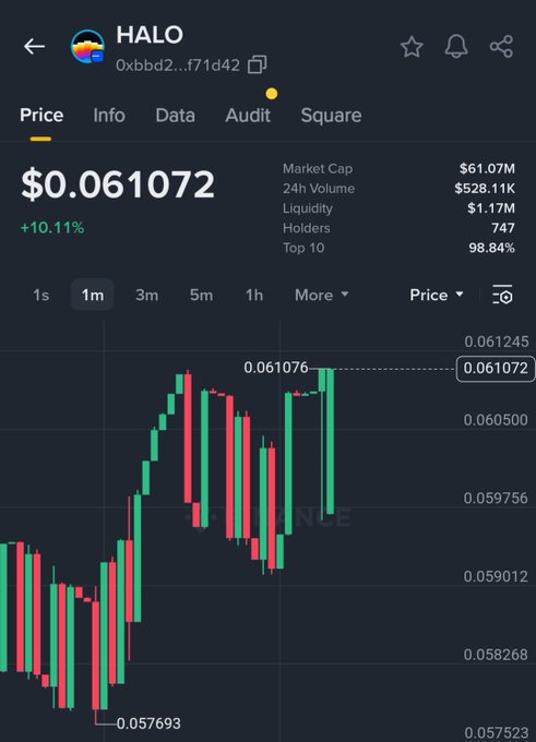 The screenshot shows a cryptocurrency price chart for HALO (token address 0xbbd2...f71d42) trading at $0.061072, up 10.11%, with a market cap of $61.07M, 24h volume of $528.11K, and 747 holders—visually confirming the post's claim that HALO has reached a $60M FDV milestone. The 1-minute candlestick chart illustrates the recent price surge, with green candles showing the upward momentum leading to the $0.061072 high.