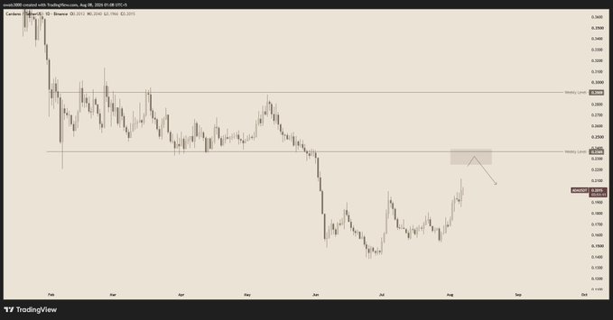 A TradingView candlestick chart titled 'Cardano created with TradingView.com, Aug 03, 2025' showing ADA/USD on Binance, with the current price at 0.2533 and notable weekly highs and lows marked.