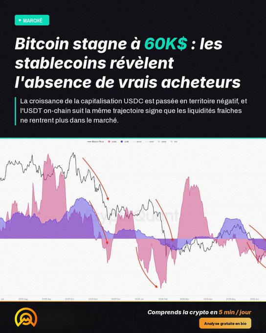 A French-language crypto market analysis graphic titled 'Bitcoin stagne à 60K$: les stablecoins révèlent l'absence de vrais acheteurs' (Bitcoin stagnates at $60K: stablecoins reveal absence of real buyers), featuring a chart showing Bitcoin price alongside USDC and USDT on-chain metrics.