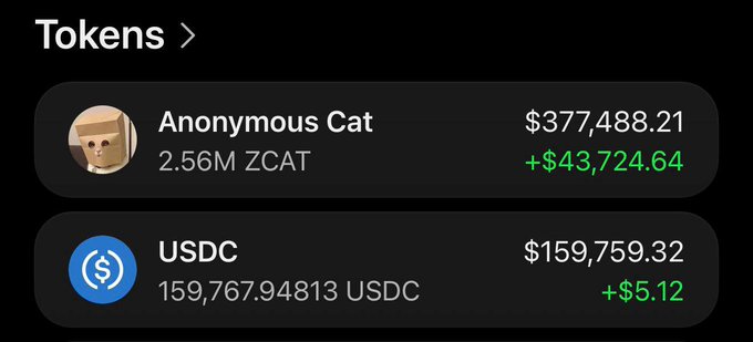 A dark-themed cryptocurrency portfolio display titled "Tokens" showing "Anonymous Cat" holding 2.56M ZCAT valued at $377,488.21 (+$43,724.64) and USDC at $159,759.32 (+$5.12).