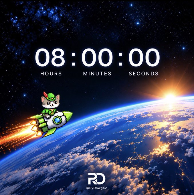 Digital artwork showing a countdown timer reading '08:00:00 HOURS MINUTES SECONDS' with a pixel-art cat in a rocket flying past Earth from space, credited to @RyDawg42.