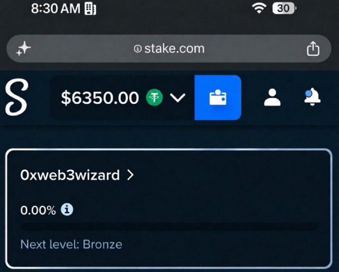 A mobile screenshot of stake.com showing a balance of $6350.00, username '0xweb3wizard', and 'Next level: Bronze'.