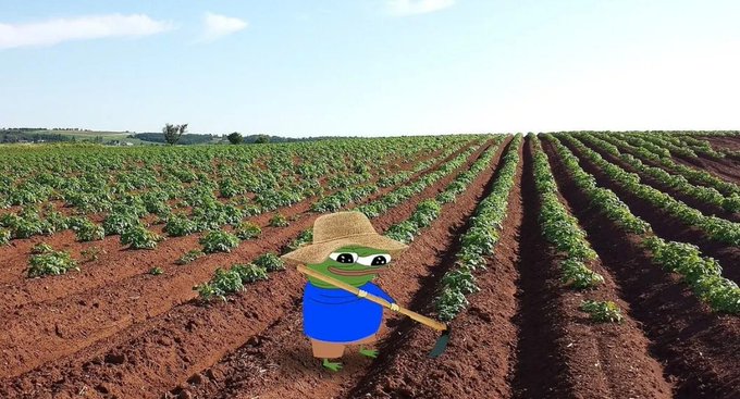 A photograph of agricultural rows of green crops in a field with reddish soil, featuring a Pepe the Frog character in blue overalls and a straw hat holding a hoe.